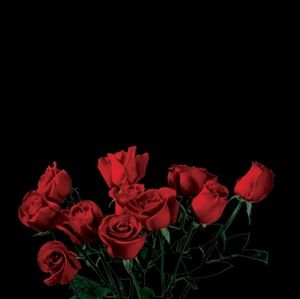 Meet your Posher, Isabel